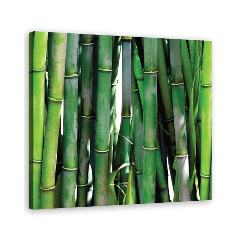 Green bamboo bathroom Canvas art prints | FEEBY