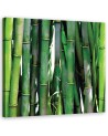 Green bamboo bathroom Canvas art prints | FEEBY