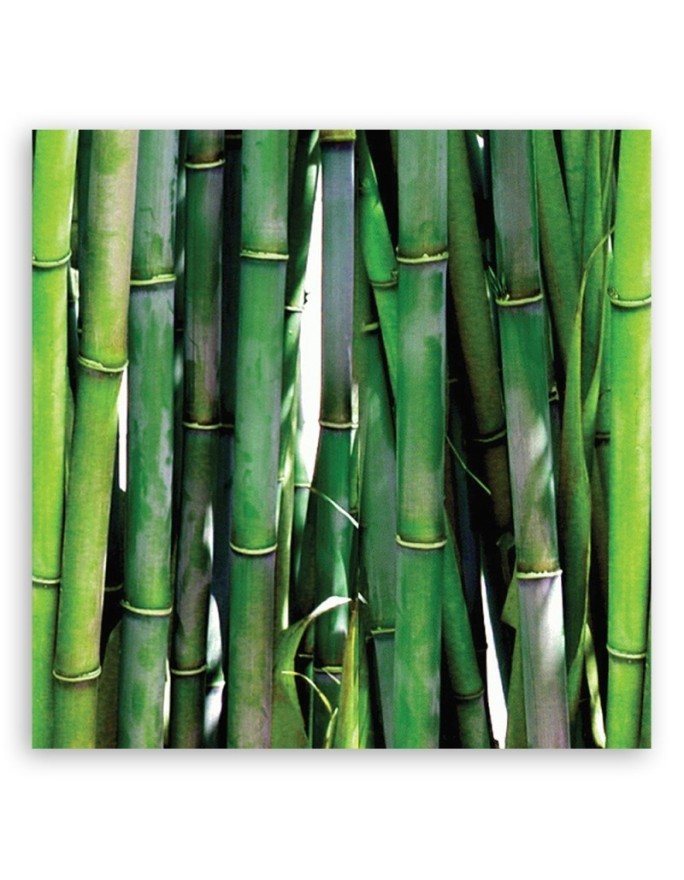 Green bamboo bathroom Canvas art prints | FEEBY