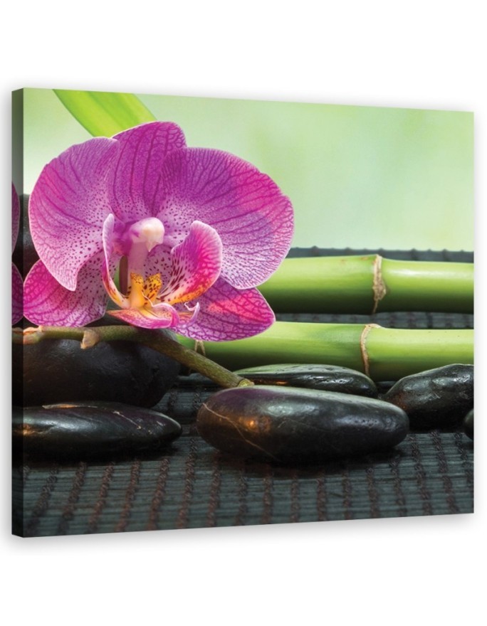 Bathroom Wall art decoration Orchid on black stones | FEEBY
