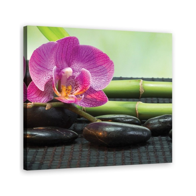 Bathroom Wall art decoration Orchid on black stones | FEEBY