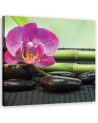 Bathroom Wall art decoration Orchid on black stones | FEEBY