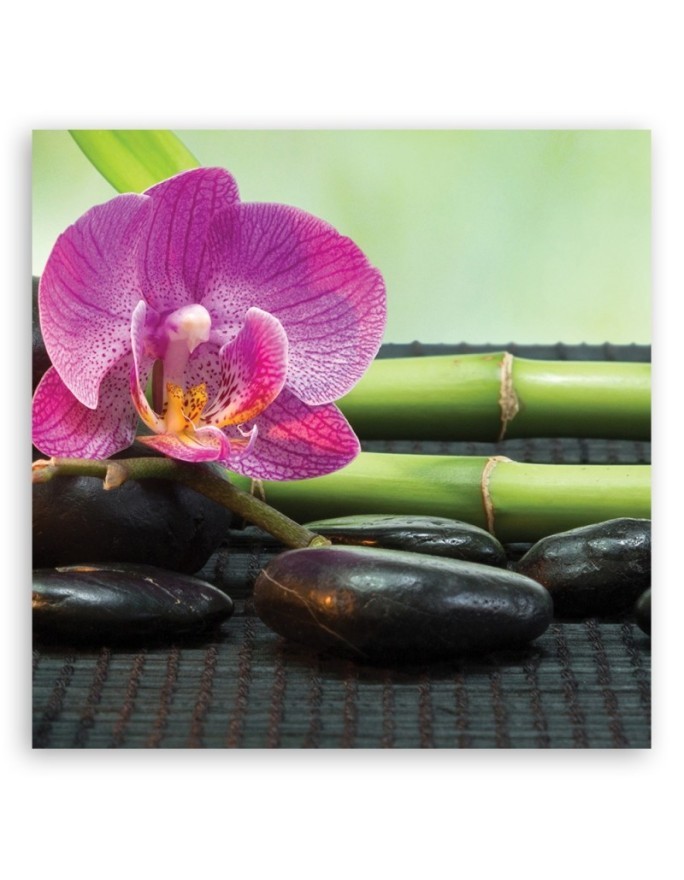 Bathroom Wall art decoration Orchid on black stones | FEEBY