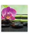 Bathroom Wall art decoration Orchid on black stones | FEEBY