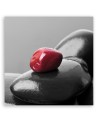 Modern wall art decoration Red stone zen spa | FEEBY
