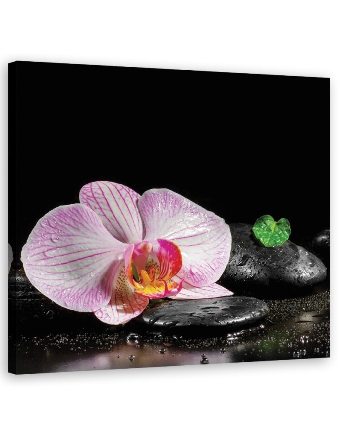 Flowering zen orchid - Bathroom wall art painting | FEEBY