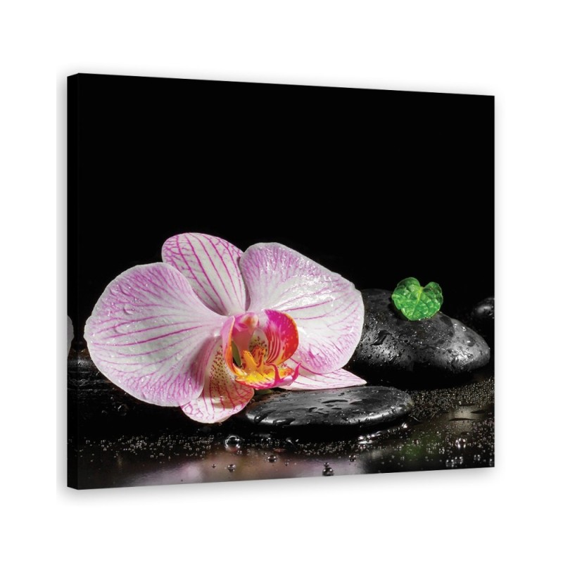 Flowering zen orchid - Bathroom wall art painting | FEEBY