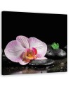 Flowering zen orchid - Bathroom wall art painting | FEEBY