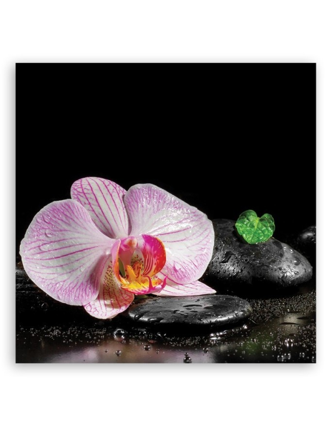 Flowering zen orchid - Bathroom wall art painting | FEEBY
