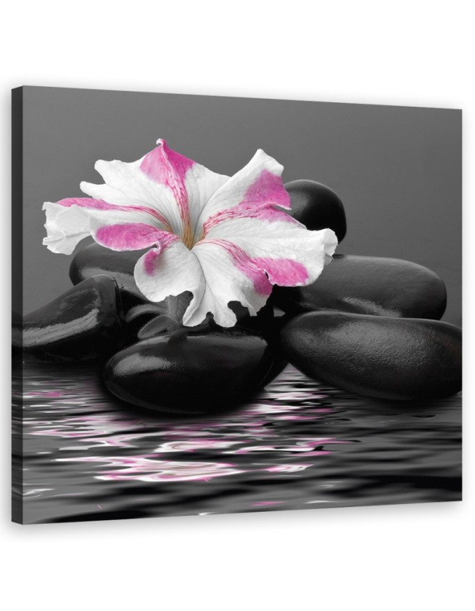 Canvas print Stones Pink...