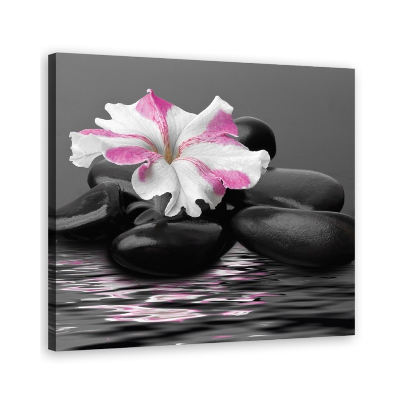 Pink Zen Flower Stones | FEEBY