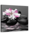 Pink Zen Flower Stones | FEEBY