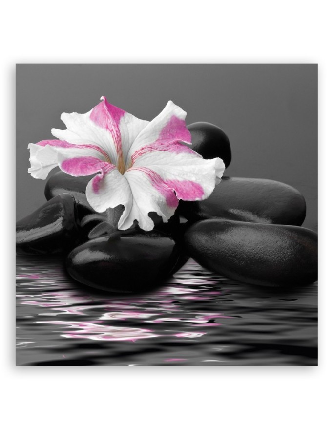 Pink Zen Flower Stones | FEEBY