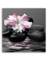 Pink Zen Flower Stones | FEEBY