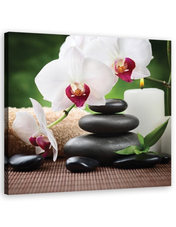 Zen orchids - Wall art decoration | FEEBY