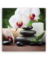 Zen orchids - Wall art decoration | FEEBY