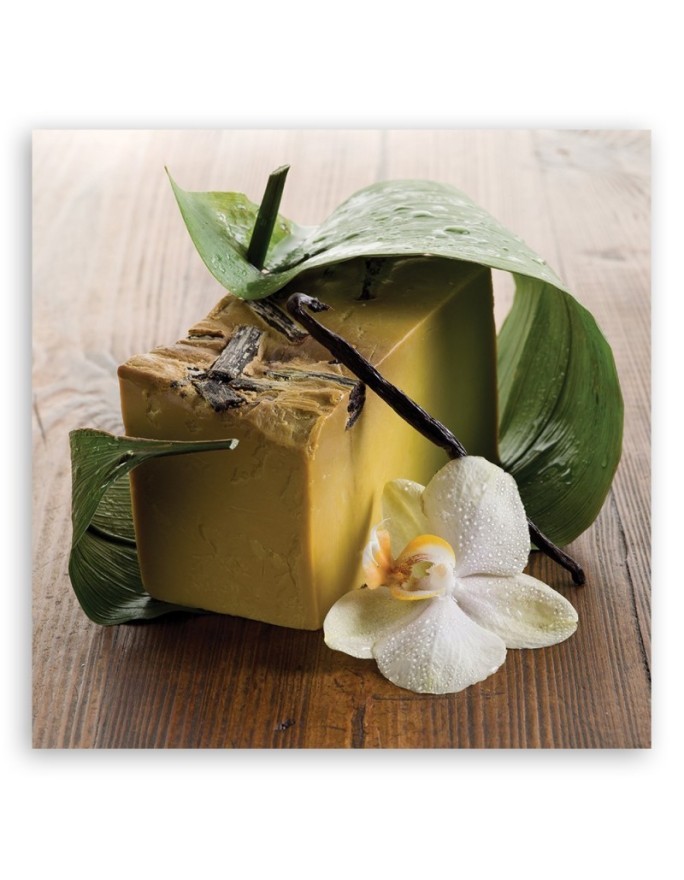 Zen spa soap - Bathroom Canvas decoration | FEEBY