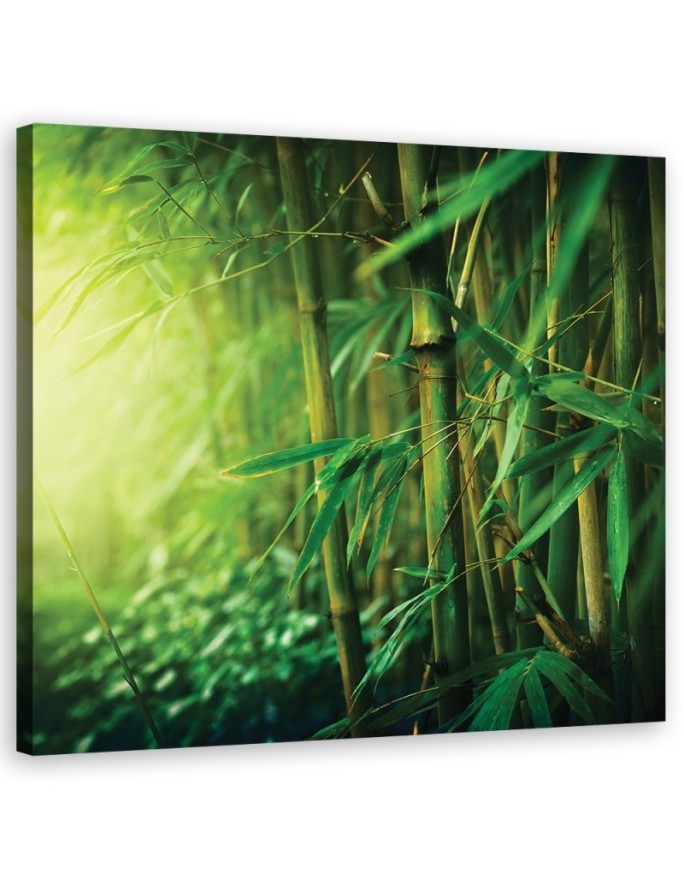 Bamboo in the jungle - Decorative Canvas painting on canvas | FEEBY