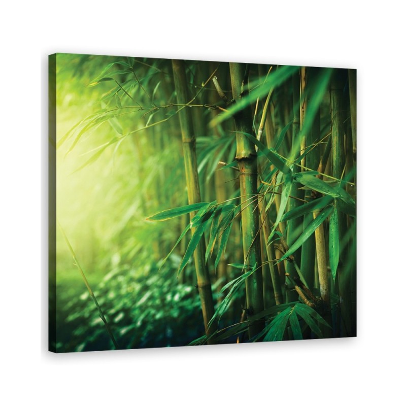 Bamboo in the jungle - Decorative Canvas painting on canvas | FEEBY