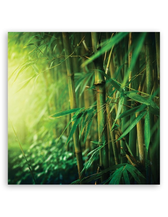 Bamboo in the jungle - Decorative Canvas painting on canvas | FEEBY
