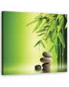 Zen stones and bamboo on green background - Canvas prints for spa | FEEBY