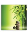 Zen stones and bamboo on green background - Canvas prints for spa | FEEBY