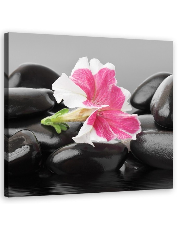 Pink flower on zen stones - Canvas prints for bathroom | FEEBY