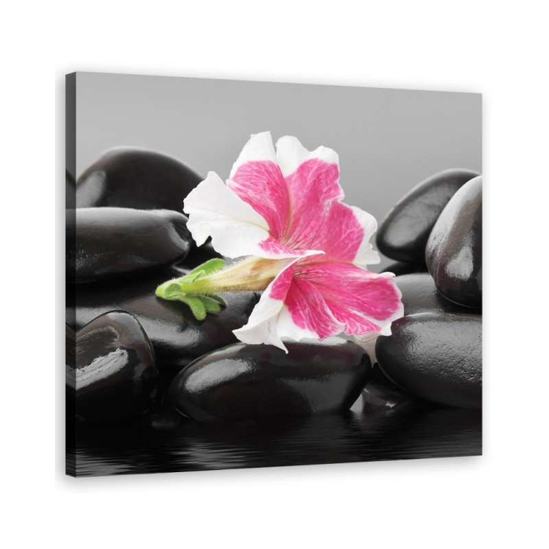 Pink flower on zen stones - Canvas prints for bathroom | FEEBY