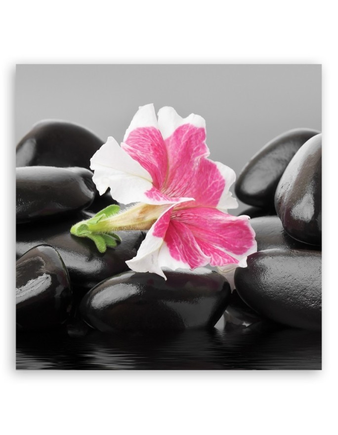 Pink flower on zen stones - Canvas prints for bathroom | FEEBY
