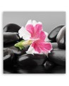 Pink flower on zen stones - Canvas prints for bathroom | FEEBY