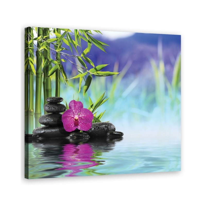 Stones Orchid Zen Spa- Modern Canvas prints | FEEBY