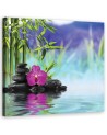 Stones Orchid Zen Spa- Modern Canvas prints | FEEBY