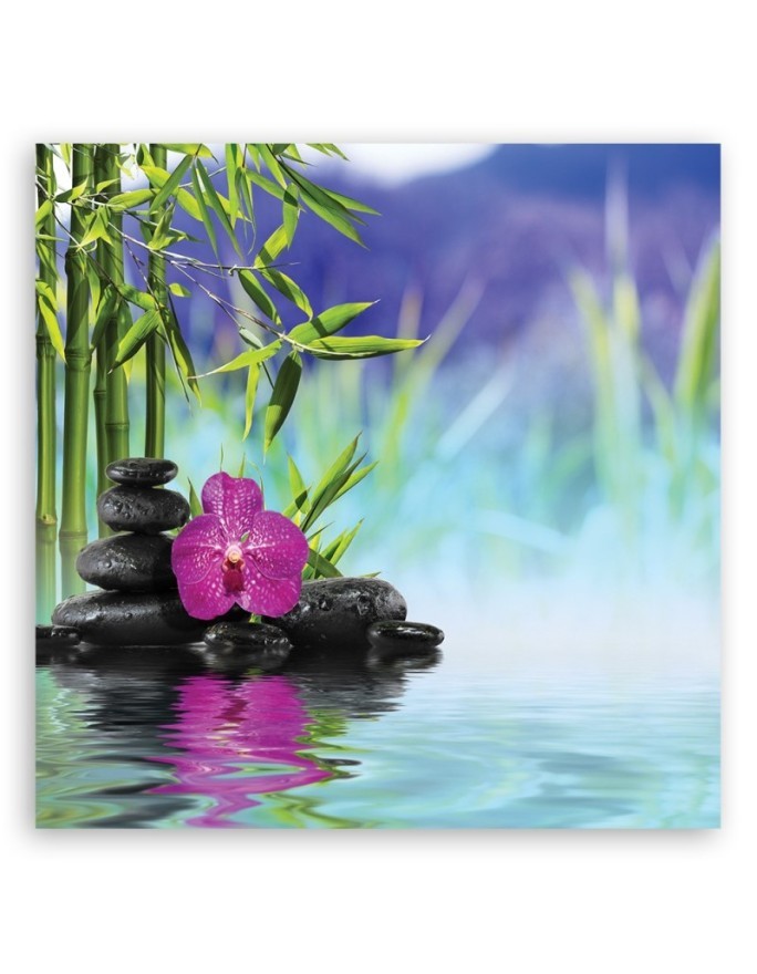 Stones Orchid Zen Spa- Modern Canvas prints | FEEBY