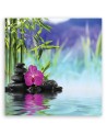 Stones Orchid Zen Spa- Modern Canvas prints | FEEBY
