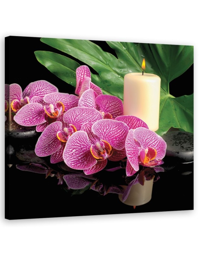 Canvas print Pink Orchid...