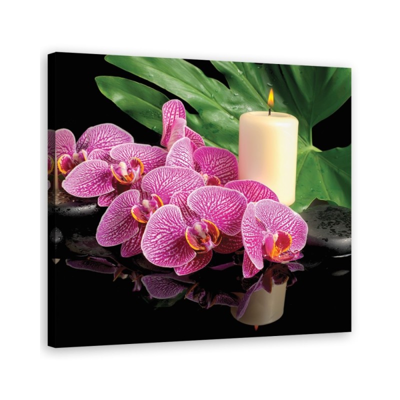 Canvas prints for living room - Pink Orchid Candles | FEEBY
