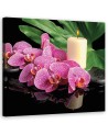 Canvas prints for living room - Pink Orchid Candles | FEEBY