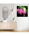 Canvas prints for living room - Pink Orchid Candles | FEEBY