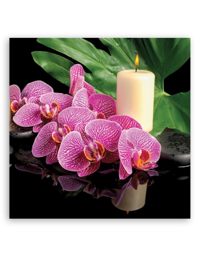 Canvas prints for living room - Pink Orchid Candles | FEEBY