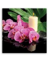 Canvas prints for living room - Pink Orchid Candles | FEEBY