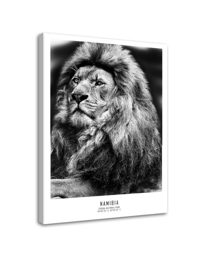 Lion symbol of Africa - Modern painting on canvas | FEEBY