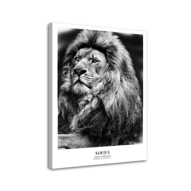 Lion symbol of Africa - Modern painting on canvas | FEEBY