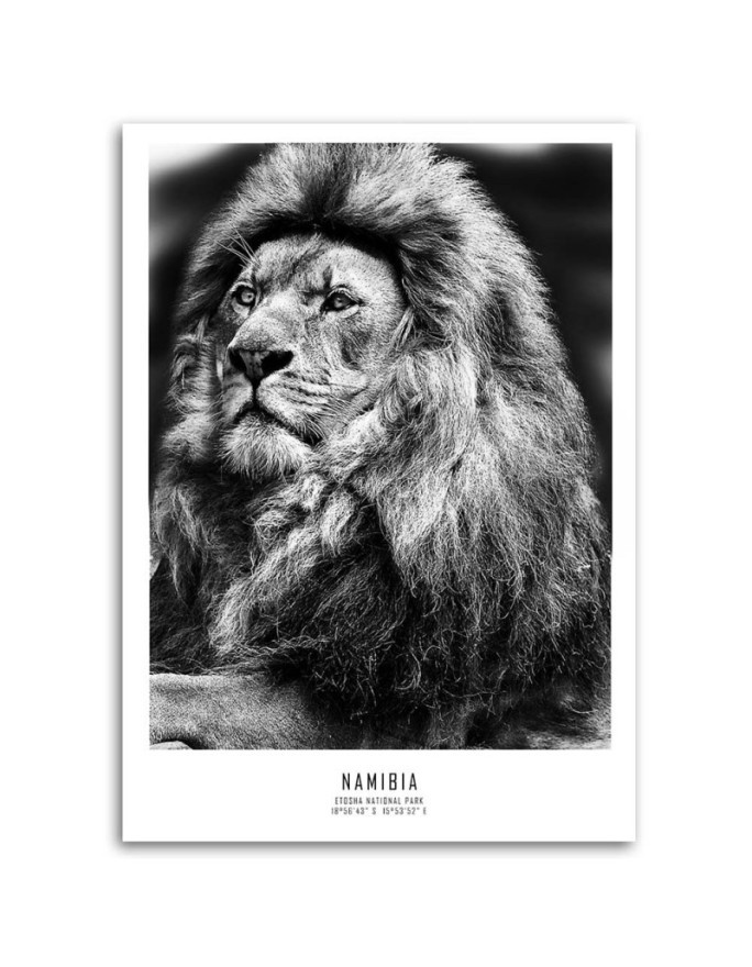 Lion symbol of Africa - Modern painting on canvas | FEEBY
