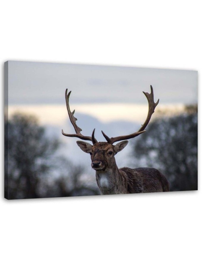 Deer landscape nature - Wall art decoration for living room | FEEBY