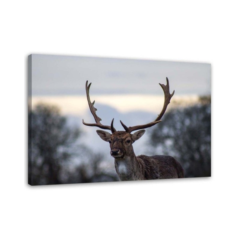 Deer landscape nature - Wall art decoration for living room | FEEBY