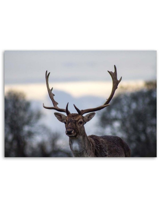 Deer landscape nature - Wall art decoration for living room | FEEBY