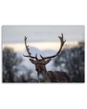 Deer landscape nature - Wall art decoration for living room | FEEBY