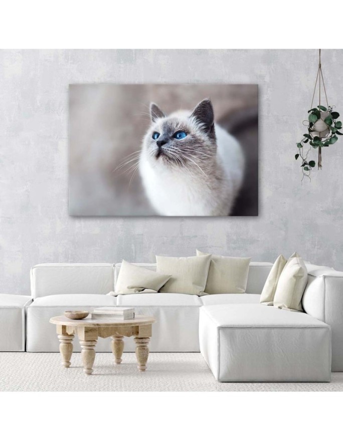Siberian cat - Living room wall decoration | FEEBY