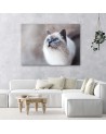 Siberian cat - Living room wall decoration | FEEBY