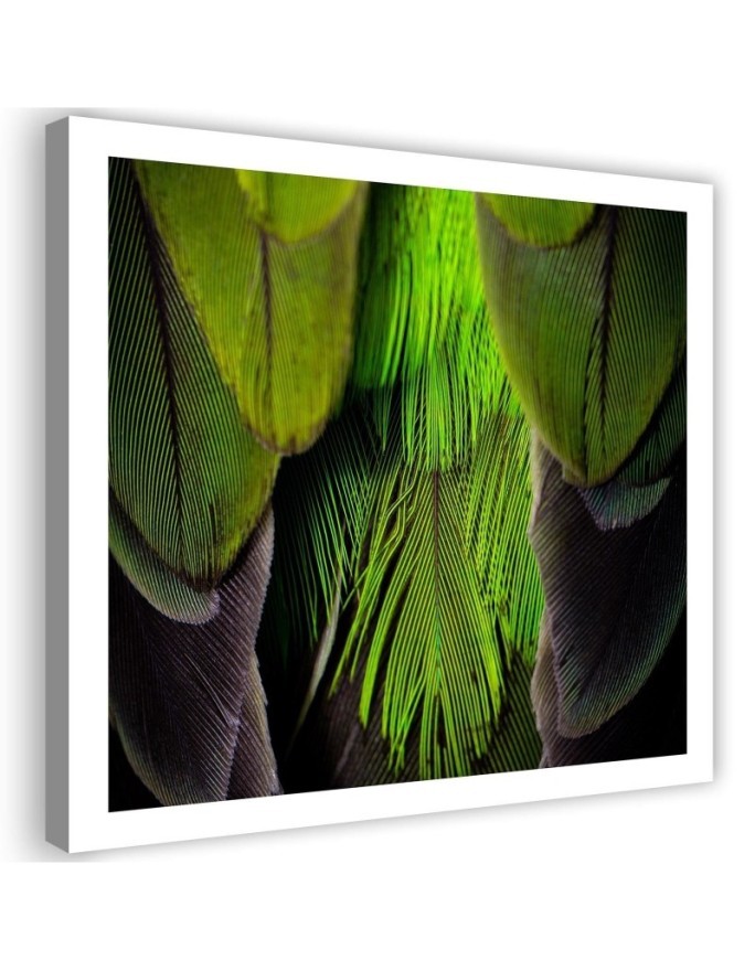Green feathers - Bedroom, bathroom painting on canvas | FEEBY